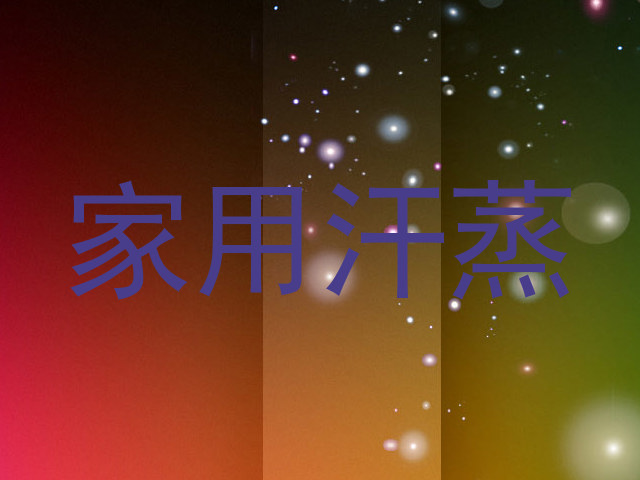 家用汗蒸