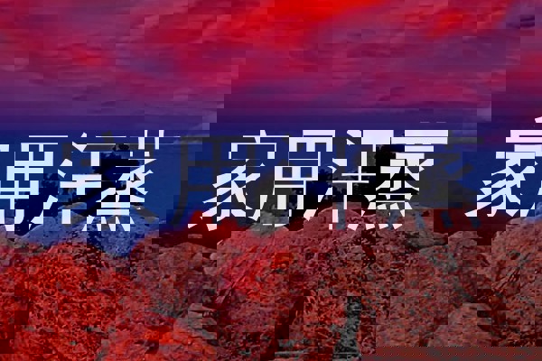 家用汗蒸
