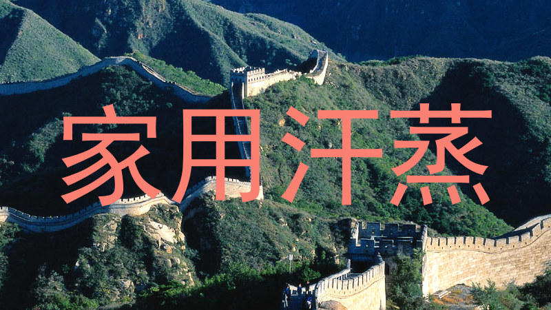 家用汗蒸