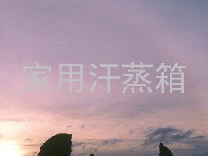 家用汗蒸箱
