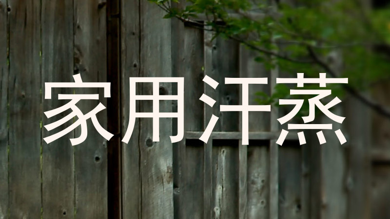 家用汗蒸