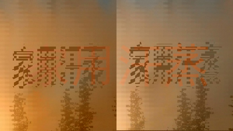 家用汗蒸