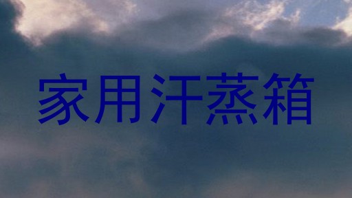 家用汗蒸箱
