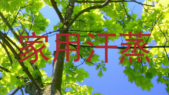 家用汗蒸