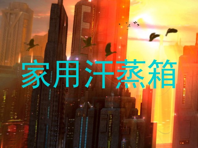 家用汗蒸箱