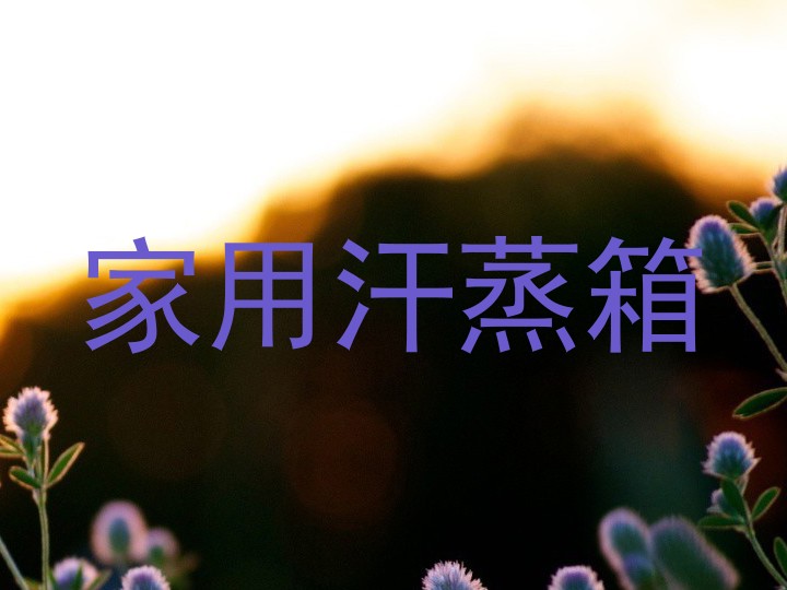家用汗蒸箱