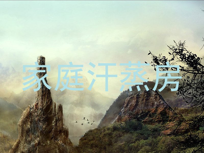 家庭汗蒸房