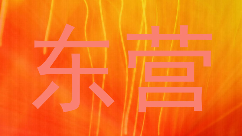 东营