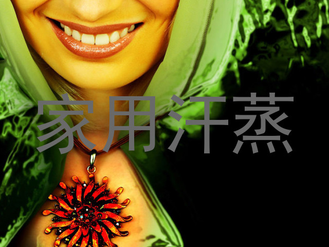 家用汗蒸