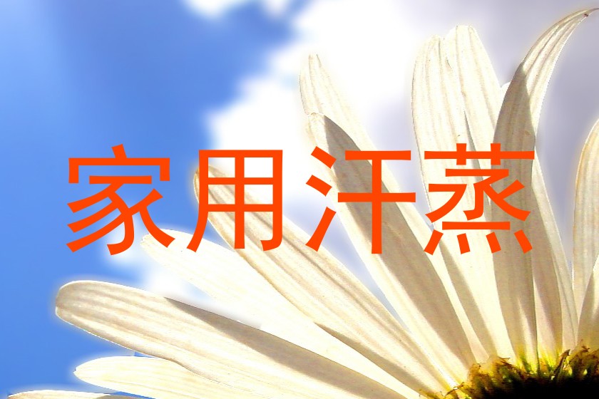 家用汗蒸