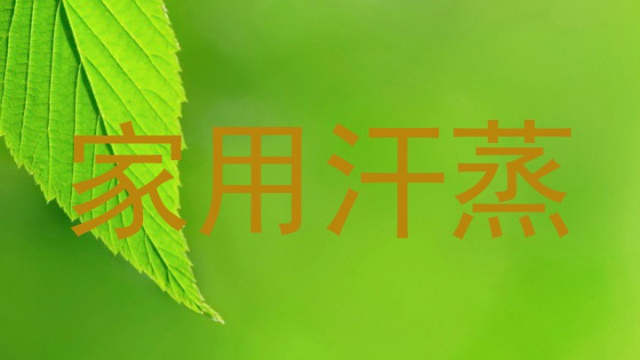 家用汗蒸