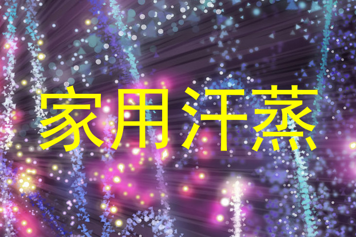 家用汗蒸