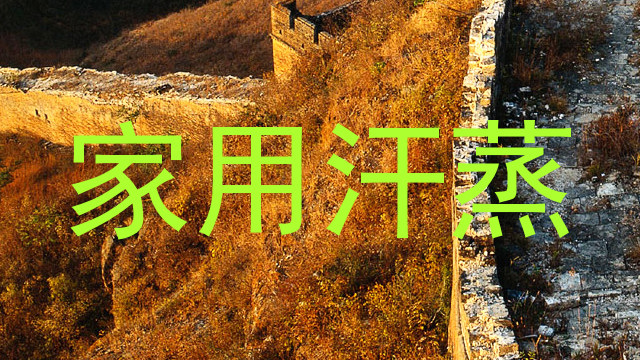 家用汗蒸