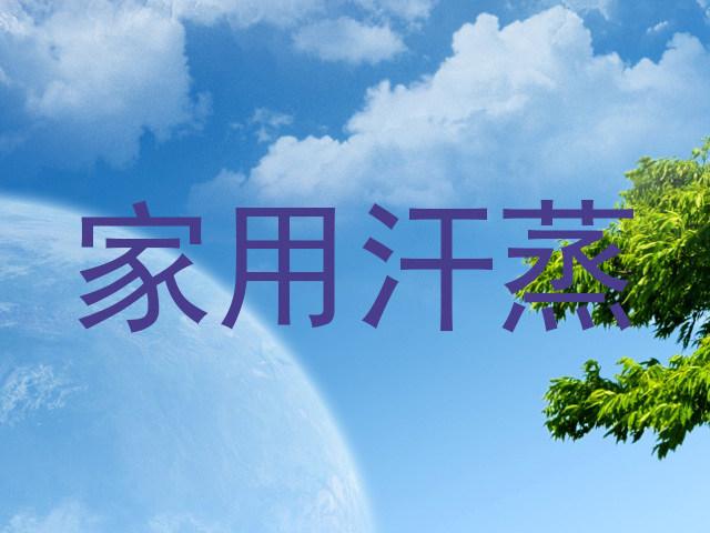 家用汗蒸
