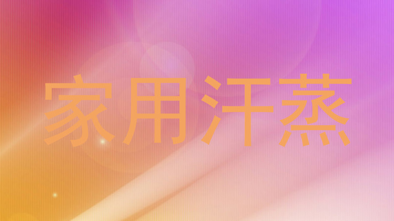 家用汗蒸