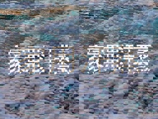 家用汗蒸
