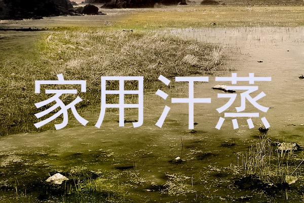家用汗蒸