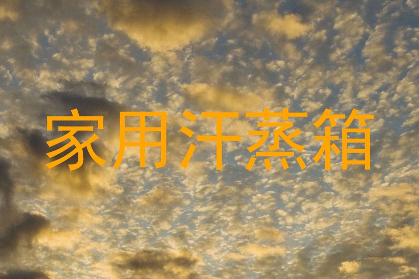 家用汗蒸箱