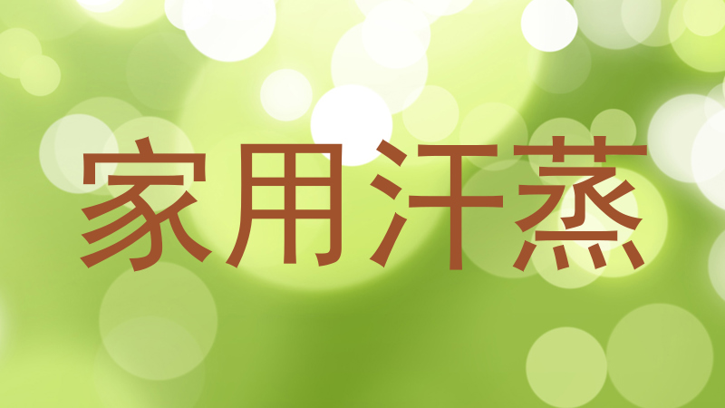 家用汗蒸