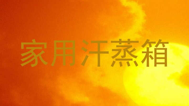 家用汗蒸箱