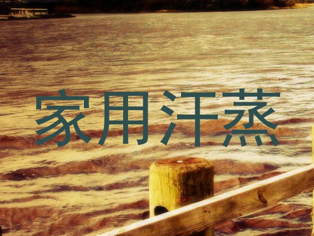 家用汗蒸