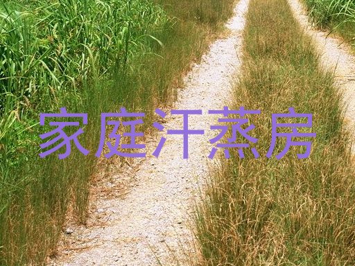 家庭汗蒸房
