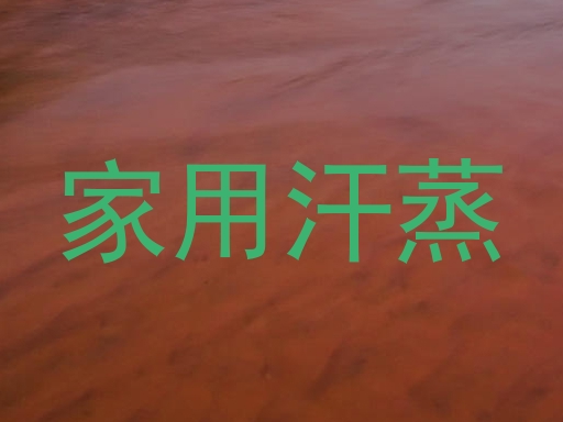 家用汗蒸