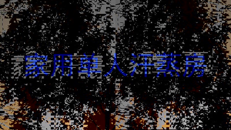 家用单人汗蒸房