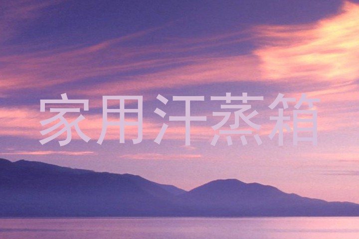 家用汗蒸箱