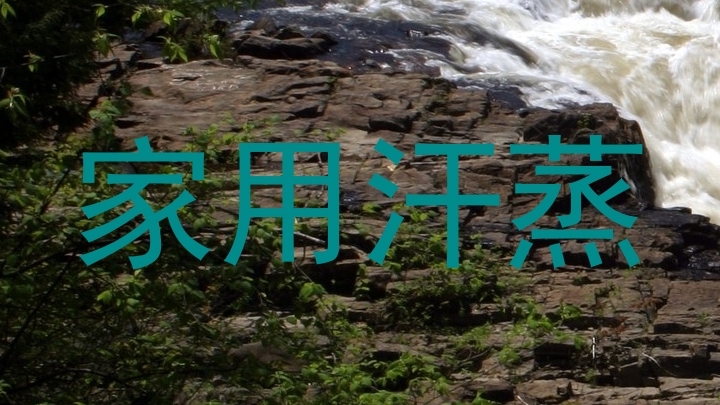 家用汗蒸