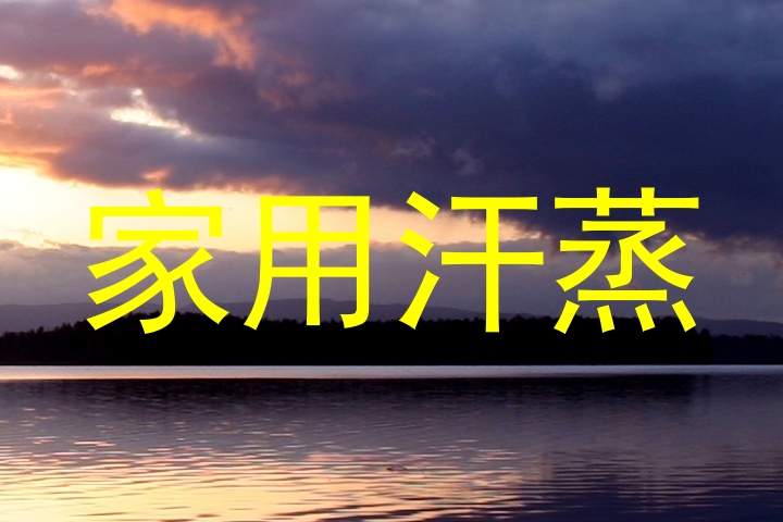 家用汗蒸