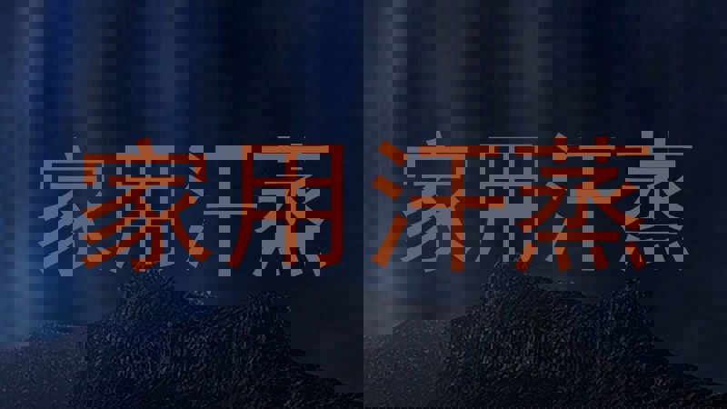 家用汗蒸