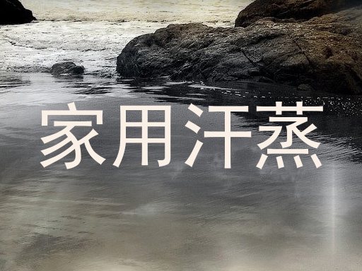 家用汗蒸