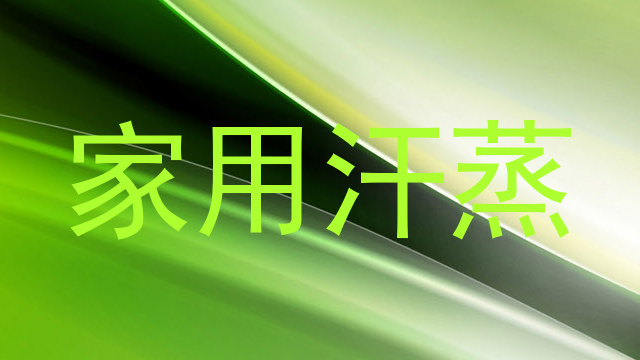 家用汗蒸