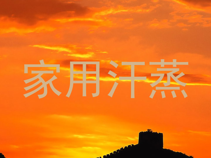 家用汗蒸