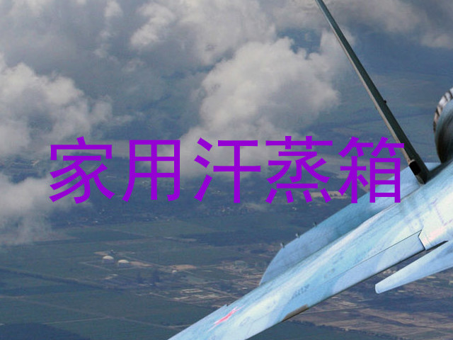 家用汗蒸箱