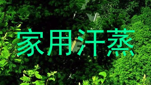家用汗蒸