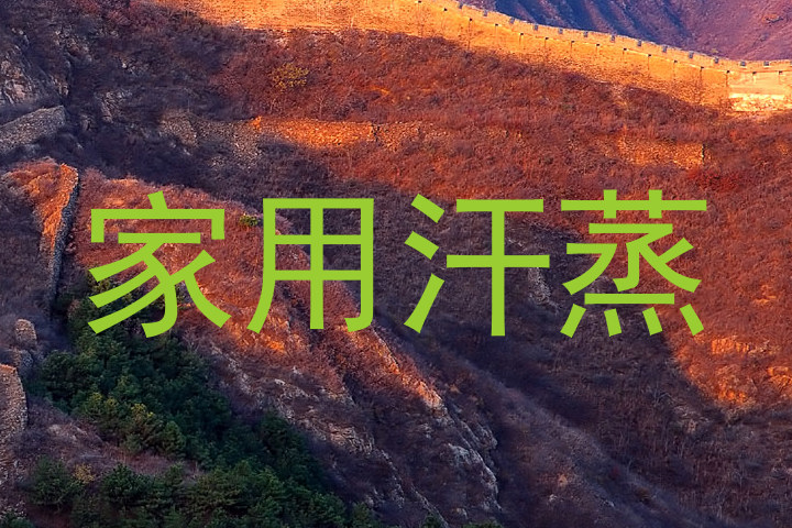 家用汗蒸