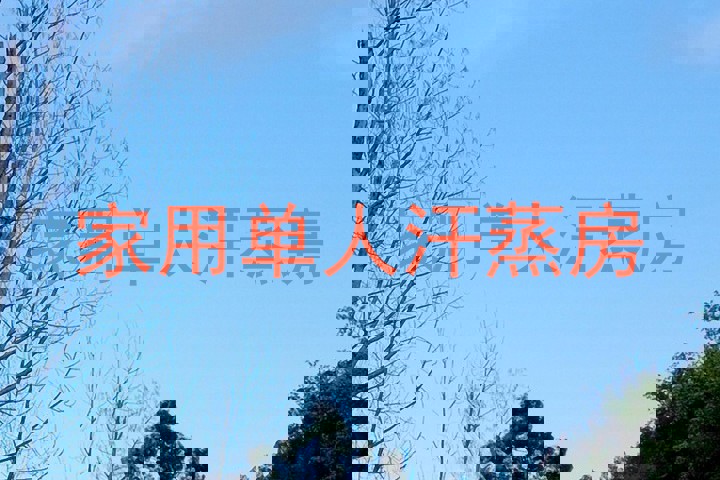 家用单人汗蒸房