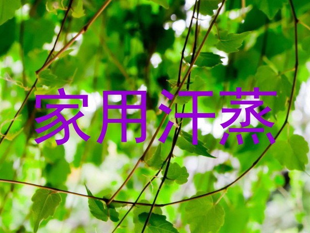 家用汗蒸