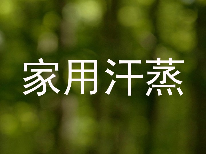 家用汗蒸