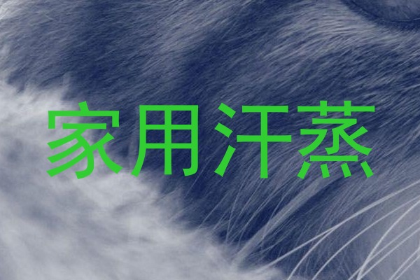 家用汗蒸