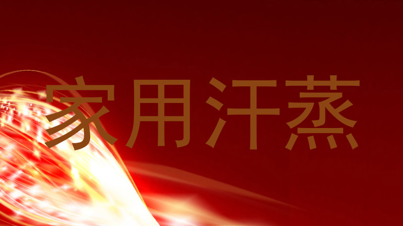 家用汗蒸