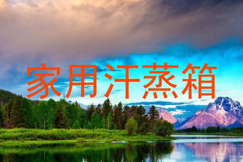 家用汗蒸箱