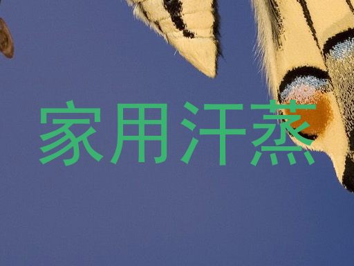 家用汗蒸