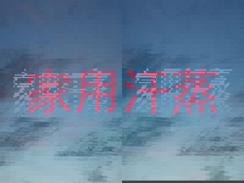 家用汗蒸
