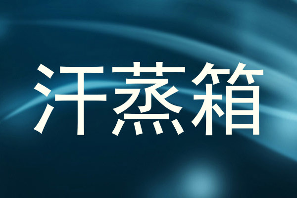 汗蒸箱