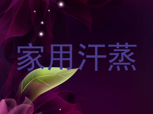 家用汗蒸