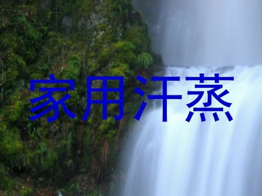 家用汗蒸