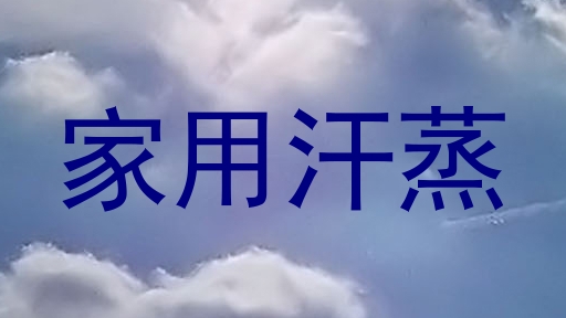 家用汗蒸